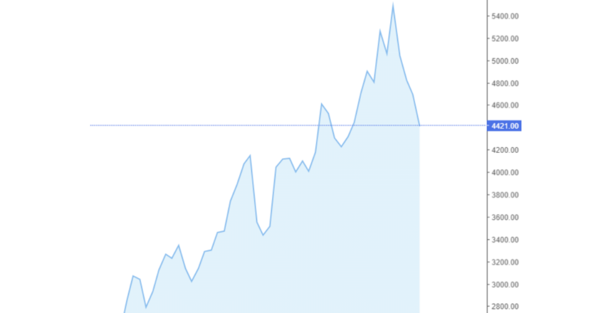 Giá cà phê Arabica và Robusta trong nước và quốc tế hôm nay 23/10/2024