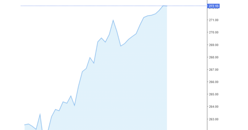 Giá cà phê Arabica và Robusta trong nước và quốc tế hôm nay 14/11/2024