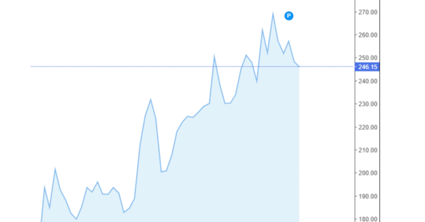 Giá cà phê Arabica và Robusta trong nước và quốc tế hôm nay 01/11/2024