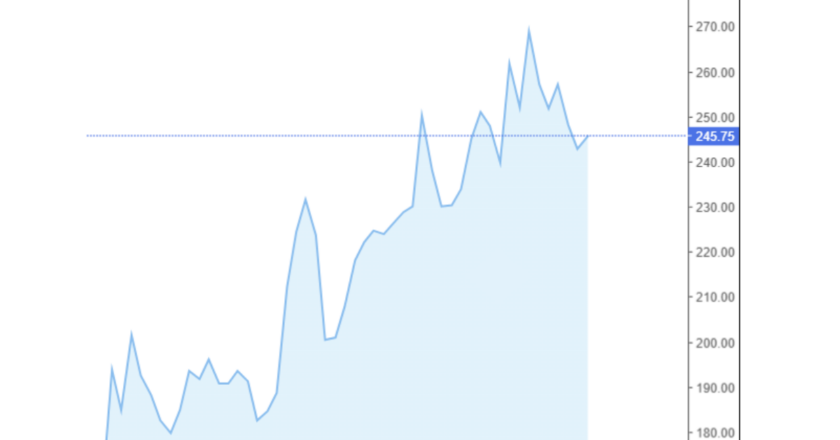 Giá cà phê Arabica và Robusta trong nước và quốc tế hôm nay 05/11/2024