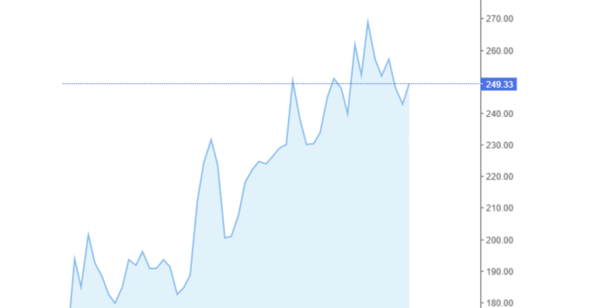 Giá cà phê Arabica và Robusta trong nước và quốc tế hôm nay 07/11/2024