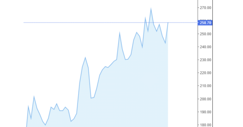 Giá cà phê Arabica và Robusta trong nước và quốc tế hôm nay 08/11/2024