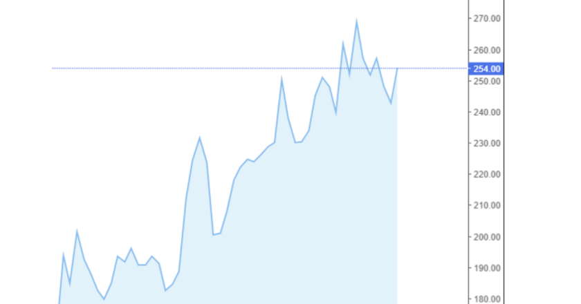 Giá cà phê Arabica và Robusta trong nước và quốc tế hôm nay 09/11/2024