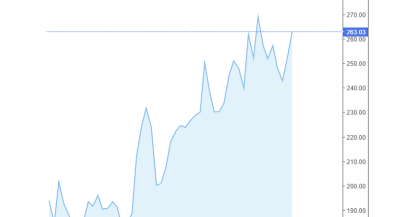 Giá cà phê Arabica và Robusta trong nước và quốc tế hôm nay 13/11/2024