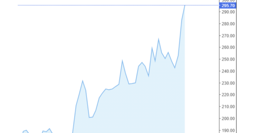 Giá cà phê Arabica và Robusta trong nước và quốc tế hôm nay 22/11/2024