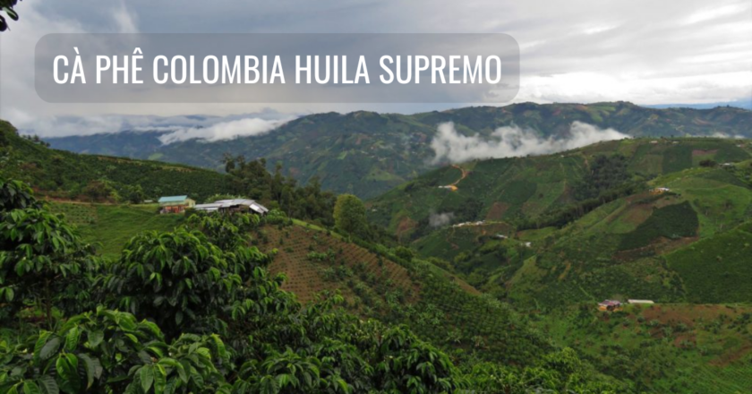 Cà Phê Colombia Huila Supremo: Hương Vị Từ Núi Đồi