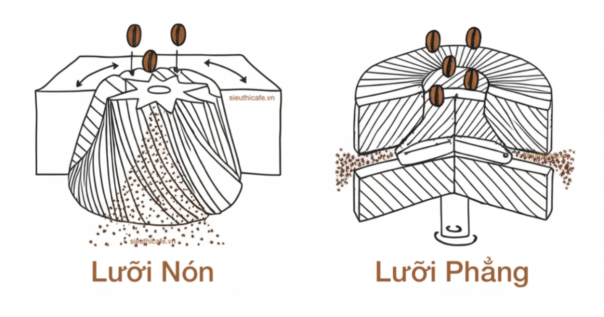 Hình dạng lưỡi máy xay cà phê tác động đến hương vị cà phê ra sao?