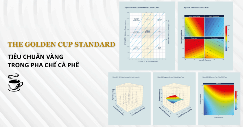 The Golden Cup Standard – Chuẩn Vàng cho Tách Cà Phê Hoàn Hảo