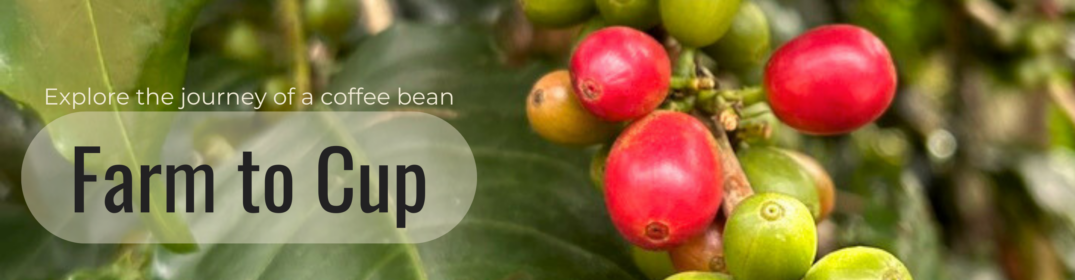 Blagu Farm to Cup 1075x280