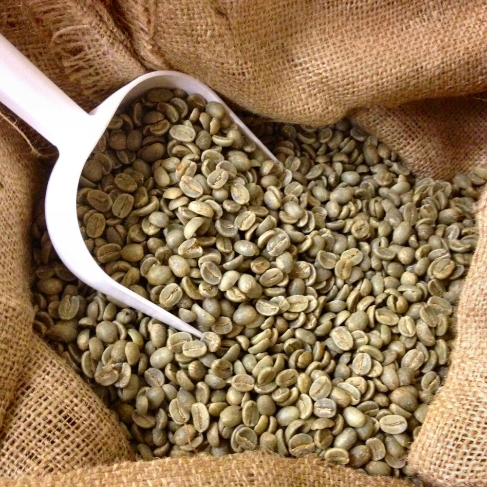 Blagu coffee Roaster 1000 x 1000 px 2024 12 17T121011.106