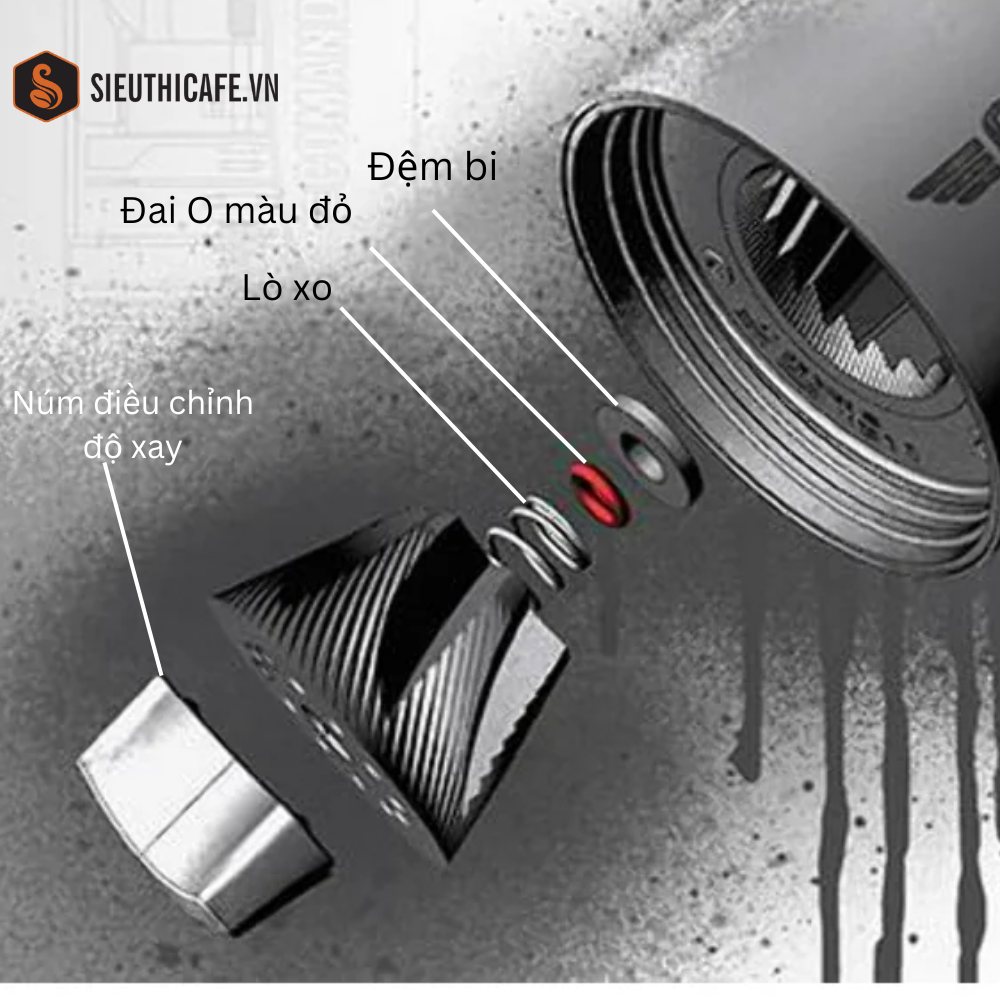 CTKM Thang 9 10.2024