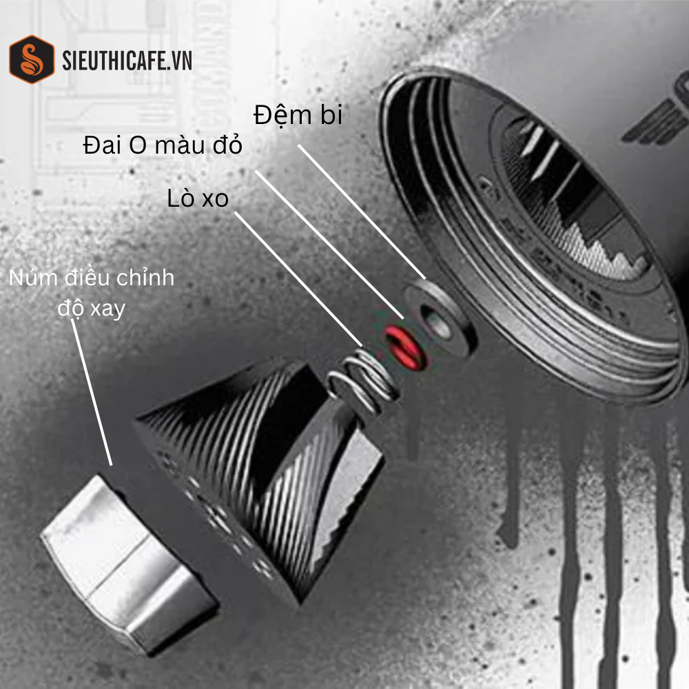 CTKM Thang 9 10.2024