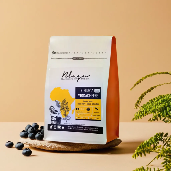 Combo Cà Phê Đặc Sản Ethiopia - Ưu Đãi Giảm Ngay 20%