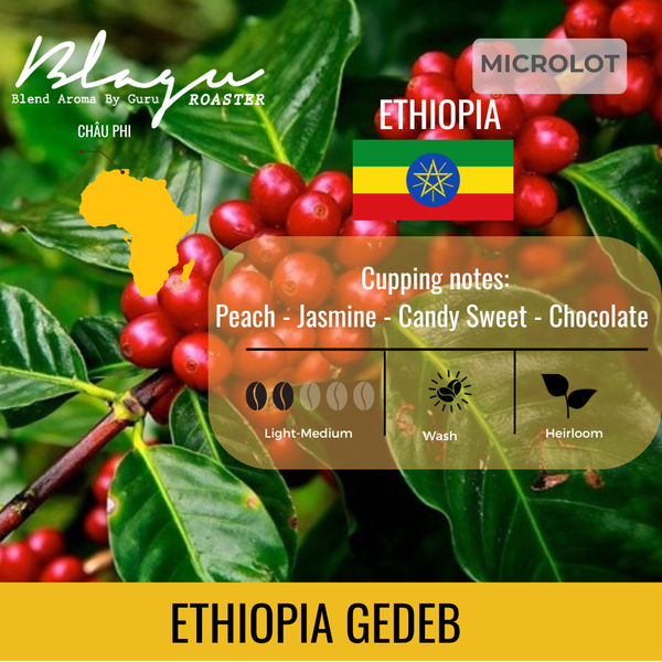 Cà Phê Ethiopia Gedeb - Cà Phê Đến Từ Vùng Trồng Cao Nhất Thế Giới