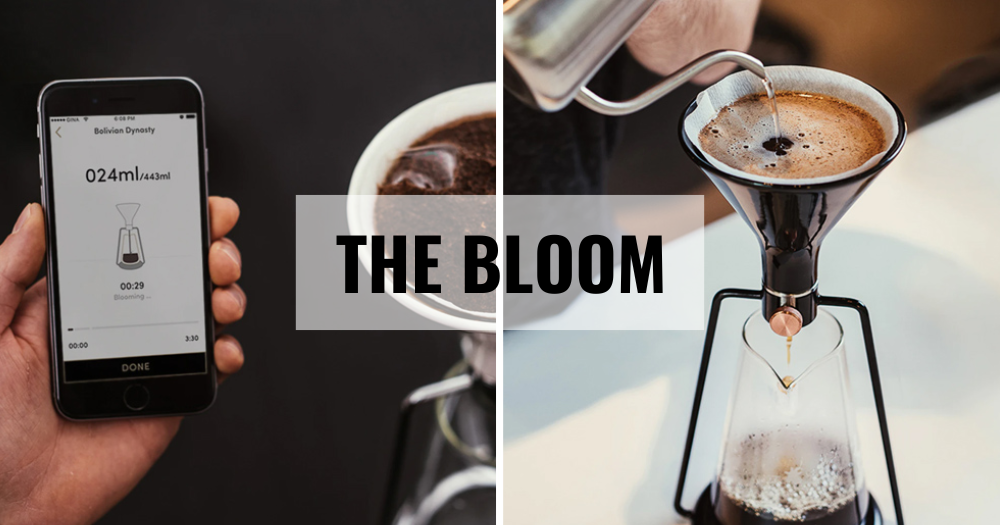 the bloom sieuthicafe