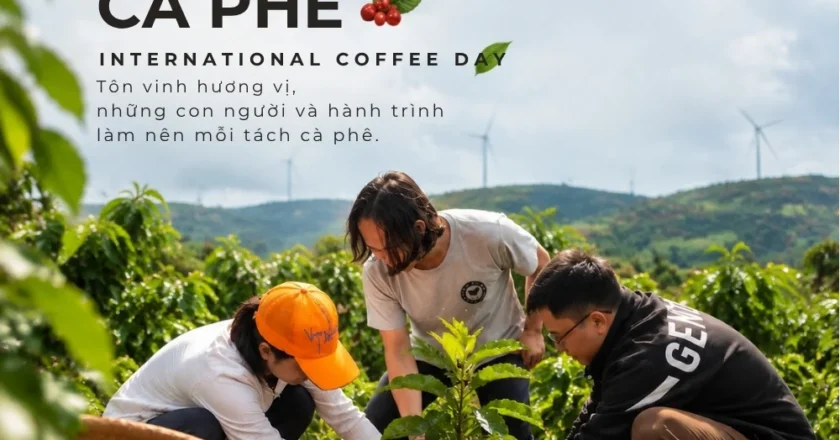 01/10 – Ngày Quốc tế Cà phê: từ dấu mốc ICO đến sự công nhận của Liên Hợp Quốc